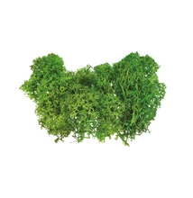 BR-MS1 Moha dekor 10g Világoszöld