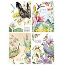 FC-19499-502 Notesz kockás 165*238mm 80lap Birds