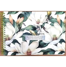 FC-9591 Vázlatfüzet A/5 60lap Magnólia