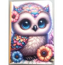 FC-N9805 Notesz sima A7 48lap Bagoly