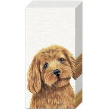 IHR-PT1047560 Zsebkendő FARM DOG cream