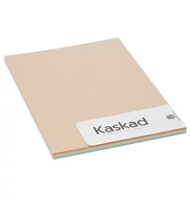 KASKAD-P31 Fénymásolópapír A/4 80g 5*20ív Pasztel mix