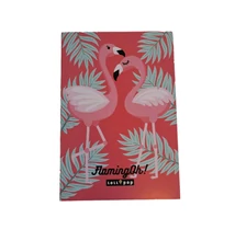 Papírfedeles notesz A/6 Lollipop, FlamingOh!