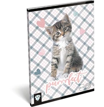 Füzet tűzött A5 sima Kis Bagoly, Purrrfect