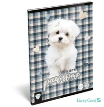 Füzet tűzött A5 sima Kis Bagoly, Pawsome