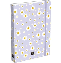 LC-23052671 Füzetbox A/4 Cornell, Daisy
