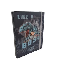 Füzetbox A/5 Dino Cool Boss