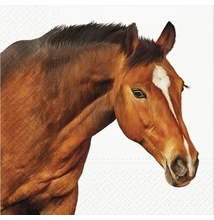 PAW-SDL133300 Papírszalvéta 33*33cm Ló