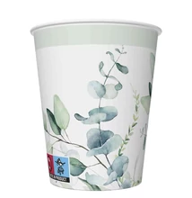 PM-KD01_035401 Papírpohár 8*250ml Eukaliptusz