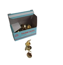 PP2310015 Rajzszeg 10dob*100db arany