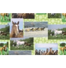 SAD-257 Polc papír mosható 5*0,5m