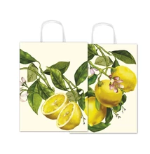 SAD-SDX26009C Ajándéktasak kraft 26*34*12cm Fantasia (2 oldalas)