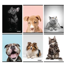 STR-63320 Füzet A4 54lap Friends vonalas