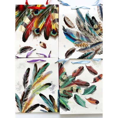 ACH-ER0819 Dísztasak Tucano glitteres tollak 26*32*10cm 4féle minta