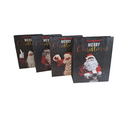 ACH-ER0922 Dísztasak Karácsonyi 