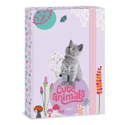 AU-50853687 Füzetbox A/4 Cute Animals Kitten