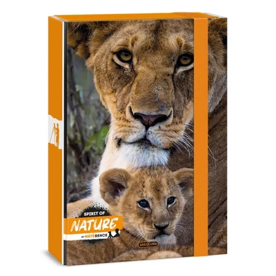 AU-50854332 Füzetbox A/4 Spirit of Nature Lion