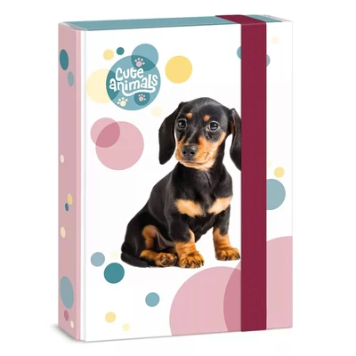 AU-50863037 Füzetbox A/5 Cute Animals Tacskó