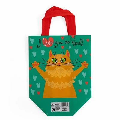 BF-700319 Ökotáska I love You 30*30*18 cm