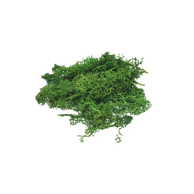 BR-MS2 Moha dekor 10g Sötétzöld