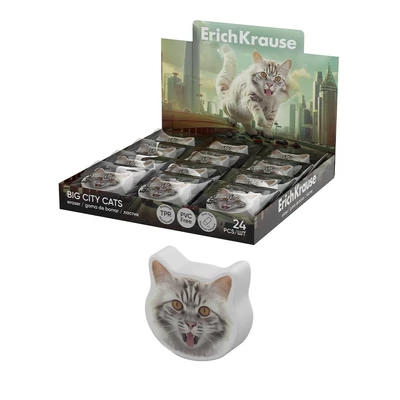 EK-63061 Radír Big City Cats