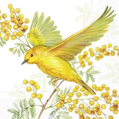 IHR-C1065829 Koktélszalvéta 25*25cm JOY OF SPRING light green