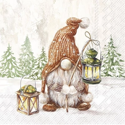 IHR-L1020500 Szalvéta 33*33cm Fiete