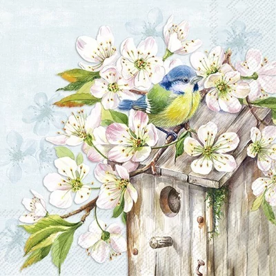 IHR-L1033849 Szalvéta 33*33cm CHERRY BLOSSOM BIRDHOUSE l.blue