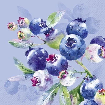 IHR-L1071640 Szalvéta 33*33cm BLUEBERRY FRUITS blue