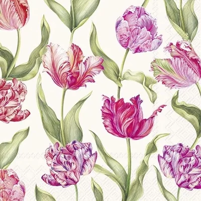 IHR-L1091760 Szalvéta 33*33cm ESTELLE cream