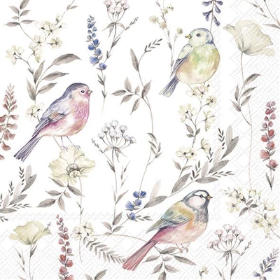 IHR-L1092400 Szalvéta 33*33cm SOFTLY FADED BIRDS