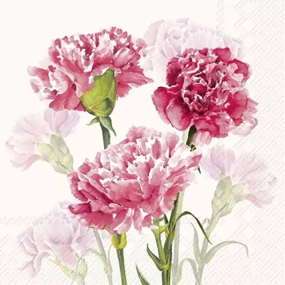 IHR-L1102160 Szalvéta 33*33cm TIMELESS RED cream