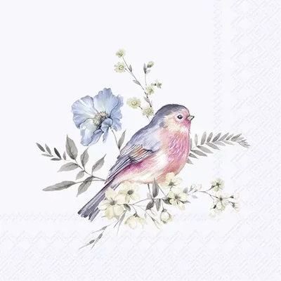 IHR-PT1092449 Zsebkendő SOFTLY FADED BIRDS light blue
