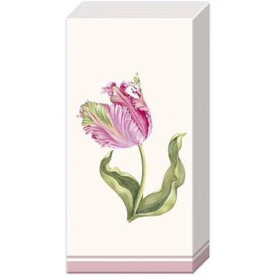 IHR-PT1097860 Zsebkendő DRISELLE cream