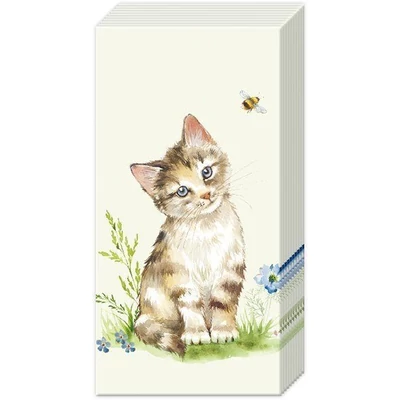 IHR-PT1100529 Zsebkendő KIRA light green