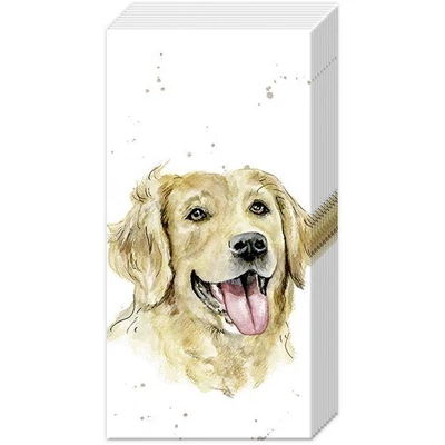 IHR-PT860000 Zsebkendő FARMFRIENDS 