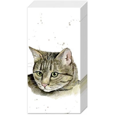 IHR-PT860100 Zsebkendő FARMFRIENDS 