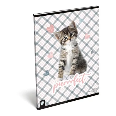 LC-22976646 Füzet tűzött A4 kockás Kis Bagoly, Purrrfect