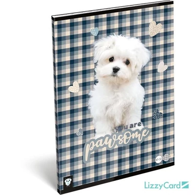 LC-22976747 Füzet tűzött A4 kockás Kis Bagoly, Pawsome