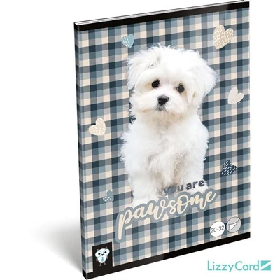 LC-22980147 Füzet tűzött A5 sima Kis Bagoly, Pawsome
