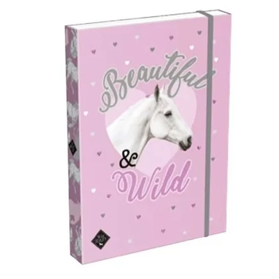 LC-23052310 Füzetbox A/4 Wild Beauty Purple