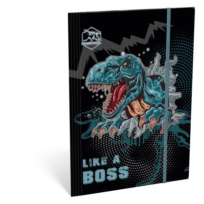 LC-24130902 Gumis mappa A/4 Dino Cool Boss