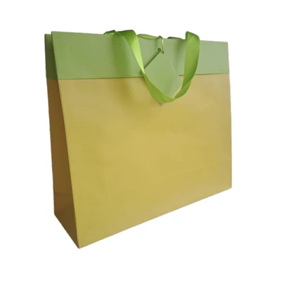LC-9341 Dísztasak Bicolour Citromsárga-Lime 37*32cm