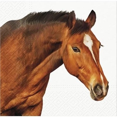 PAW-SDL133300 Papírszalvéta 33*33cm Ló