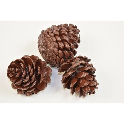 PL-2026050308 Toboz indiai viaszos barna 5db