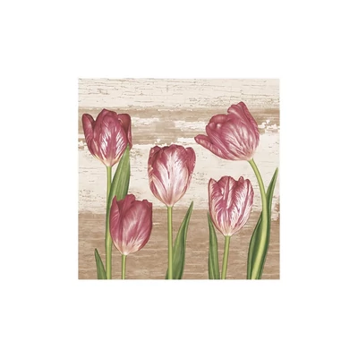 PM-07701 Papírszalvéta mintás Daisy 33*33cm Tulipánok Vintage háttér
