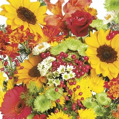 PM-SDOG_034001 Papírszalvéta mintás Daisy 33*33cm Őszi virágok