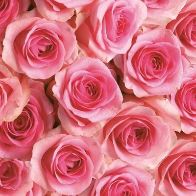 PM-SLOG_028801 Papírszalvéta mintás Maki 33*33cm Rózsaszín rózsa