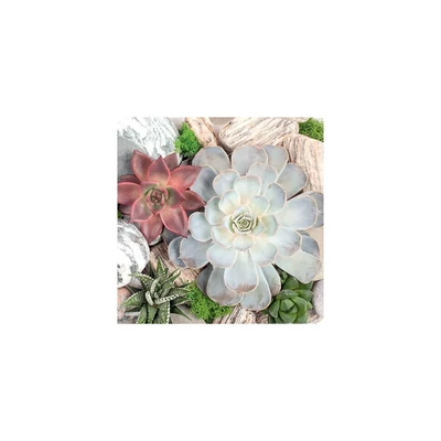 PM-SLOG_048801 Papírszalvéta mintás Maki 33*33cm Szukkulensek