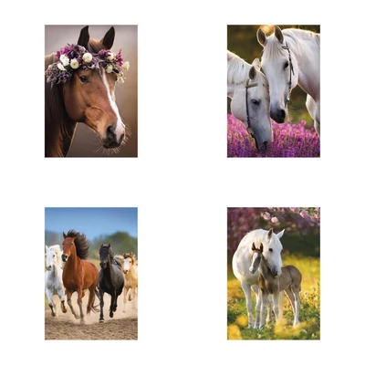 PM-TA4_OG_760 Gumis mappa A/4 Lovas